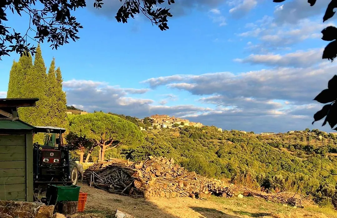 Nocini di Maremma-1